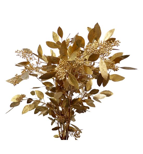 Eucaliptus populus antiek oro - EUPOPANTORO
