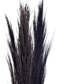 Broom graas seco black - BROGLASECBLA