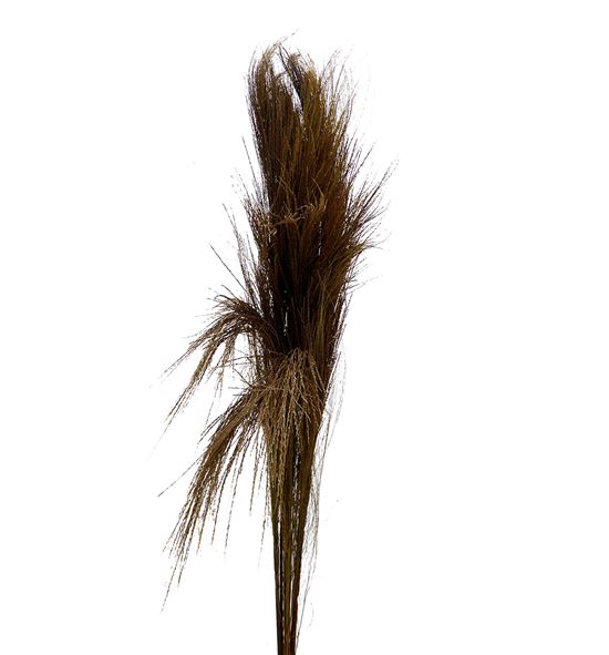 Broom graas seco natural - BROGLASECNAT