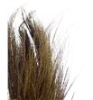 Broom graas seco natural - BROGLASECNAT1