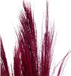 Broom graas seco red - BROGLASECRED1