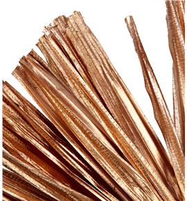 Hoja rhapis seco cobre - HOJRHASECCOB