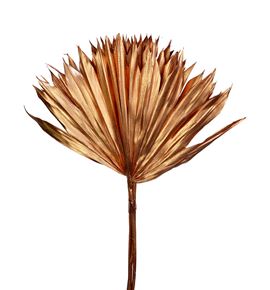 Palmito seco pintado cobre grande - PALSECPINCOBG