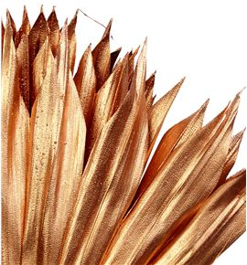 Palmito seco pintado cobre grande - PALSECPINCOBG