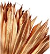 Palmito seco pintado cobre grande - PALSECPINCOBG1