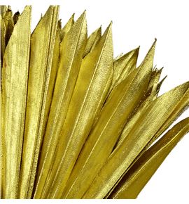 Palmito seco pintado oro grande - PALSECPINOROG
