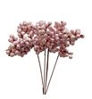 Stick berry perla rosa x10 - STIBERPERROS