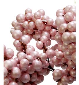 Stick berry perla rosa x10 - STIBERPERROS
