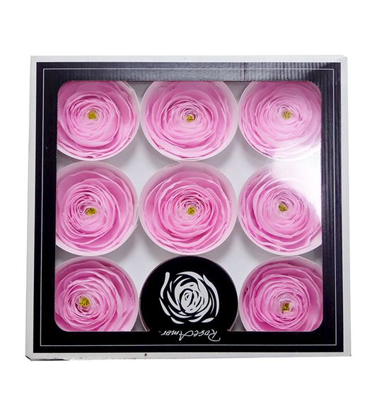 Cloni preservado pink x9 - CLOPREPIN