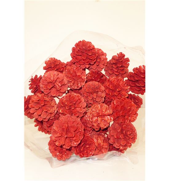 Piña rojo x30 - PIÑAROJA