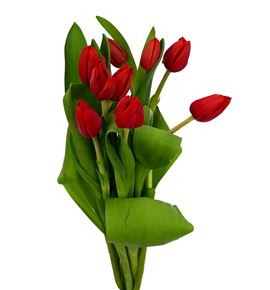 Tulipan escape 38 - TULESC