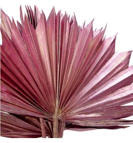 Palmito seco pintado rosa metalic grande - PALSECPINROSMG