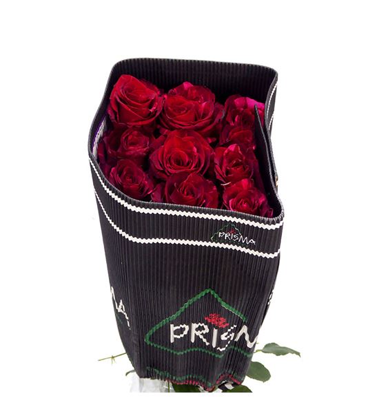 Rosa col red panther 40 - RCREDPAN