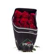 Rosa col red panther 40 - RCREDPAN