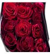 Rosa col red panther 40 - RCREDPAN1