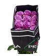 Rosa ecu coolwater 40 - RECOO