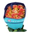Rosa ecu grandiosa 50 - REGRA
