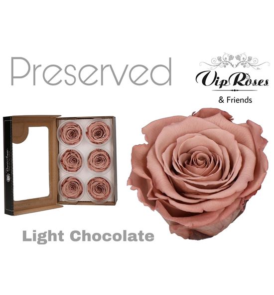 Rosa preservada chocolate 89 l 6 unid - ROSPRELIGCHO6
