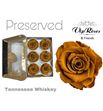 Rosa preservada tennessee whiskey 6 unid - ROSPRETENWHI6