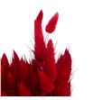 Lagurus seco rojo - LAGSECROJ1
