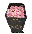 Rosa ecu geraldine 40 - REGER
