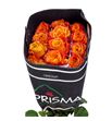 Rosa ecu silantoi 50 - RESIL