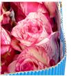 Rosa ecu magic times 40 - RCMAGTIM2