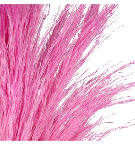 Cortaderia rosa claro 120 x8 tallos - CORROSCLA