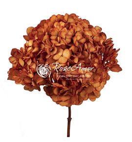 Hortensia preservada orange 01 - HYDPREORA01
