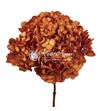 Hortensia preservada orange 01 - HYDPREORA01