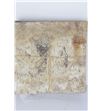 Brich bark 10x10 - BIRBAR