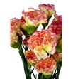 Clavel fancy amarillo/rosa x25 - CLACOLAMAROS1