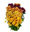 Cr santini mixto herfst 55 - CRSMIXHER