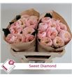 Rosa hol sweet diamond 50 - RGRSWEDIA