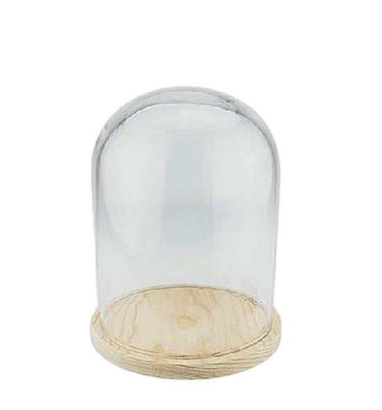 Cúpulas de cristal con base de madera (4 medidas)