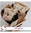 Rosa hol off-white 60 - RGROFFWHI