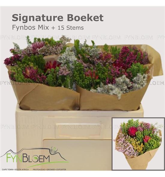 Bqt safari mixto 15t 50cm - BQTSAFMIX15