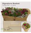 Bqt safari mixto 15t 50cm - BQTSAFMIX15
