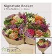 Bqt safari 2 nutan 40cm - BQTSAFNUT240