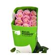 Rosa ecu miss piggy 60 - REMISPIG