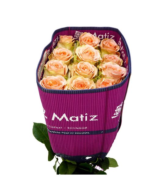 Rosa ecu country home 50 - RECOUHOM