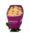Rosa ecu country home 50 - RECOUHOM