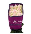 Rosa ecu salma 60 - RESAL