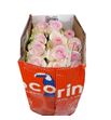 Rosa ecu sedorita 40 - RESED