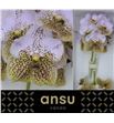 Vanda seashell honey x16 - VANSEAHON