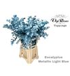 Eucaliptus cinerea metalic light blue 65 - EUCCINMETLIGBLU