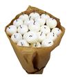 Droog appel white x20 - DROAPPWHI