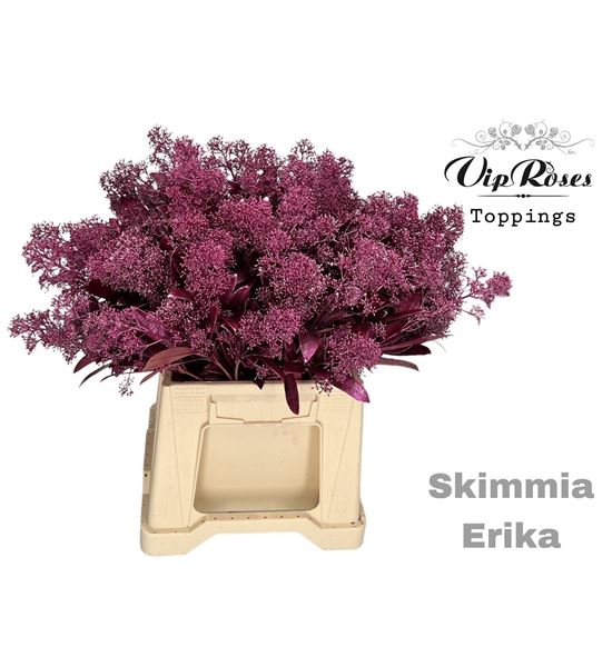 Skim teñido metalic erika 45 - SKIMETERI
