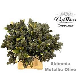 Skim teñido metalic olive 45 - SKIMETOLI