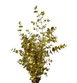 Eucaliptus cinerea oro 200gr - EUCINORO